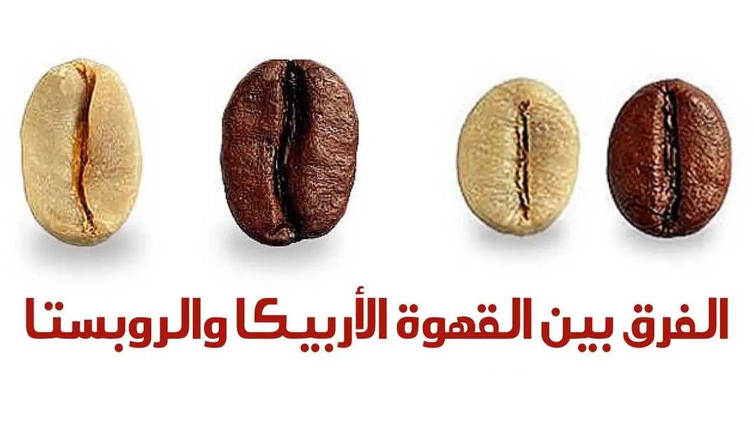 الفرق بين اربيكا و روبوستا