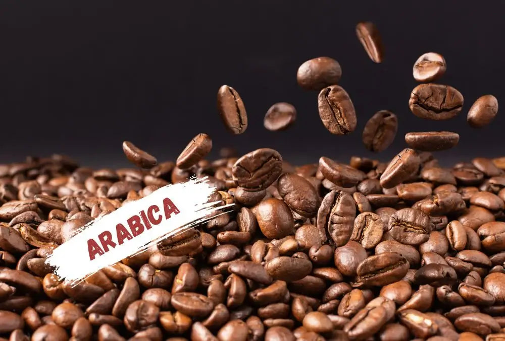 دليل حبوب بن ارابيكا