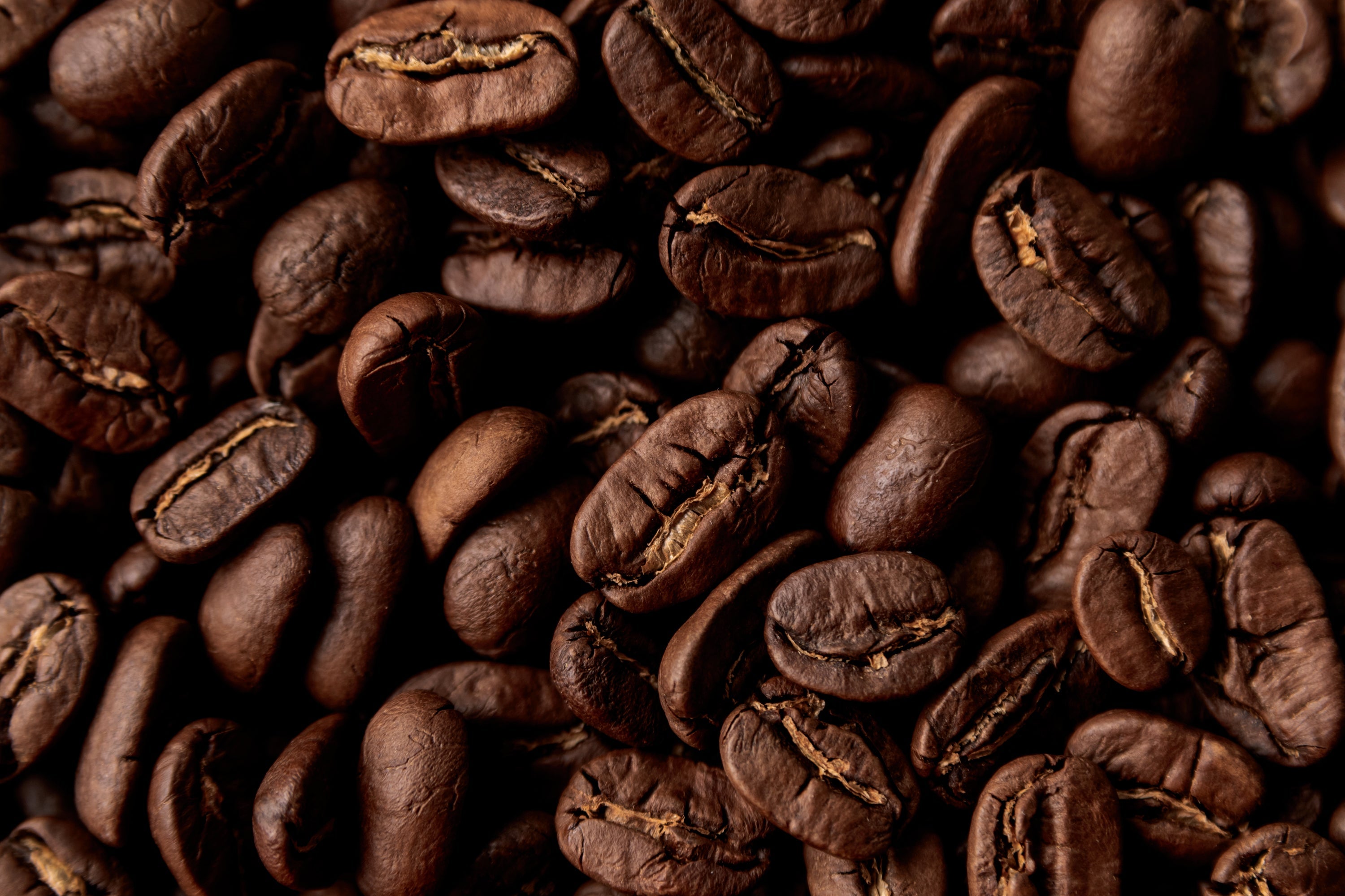 MEDIUM ROASTED COFFEE