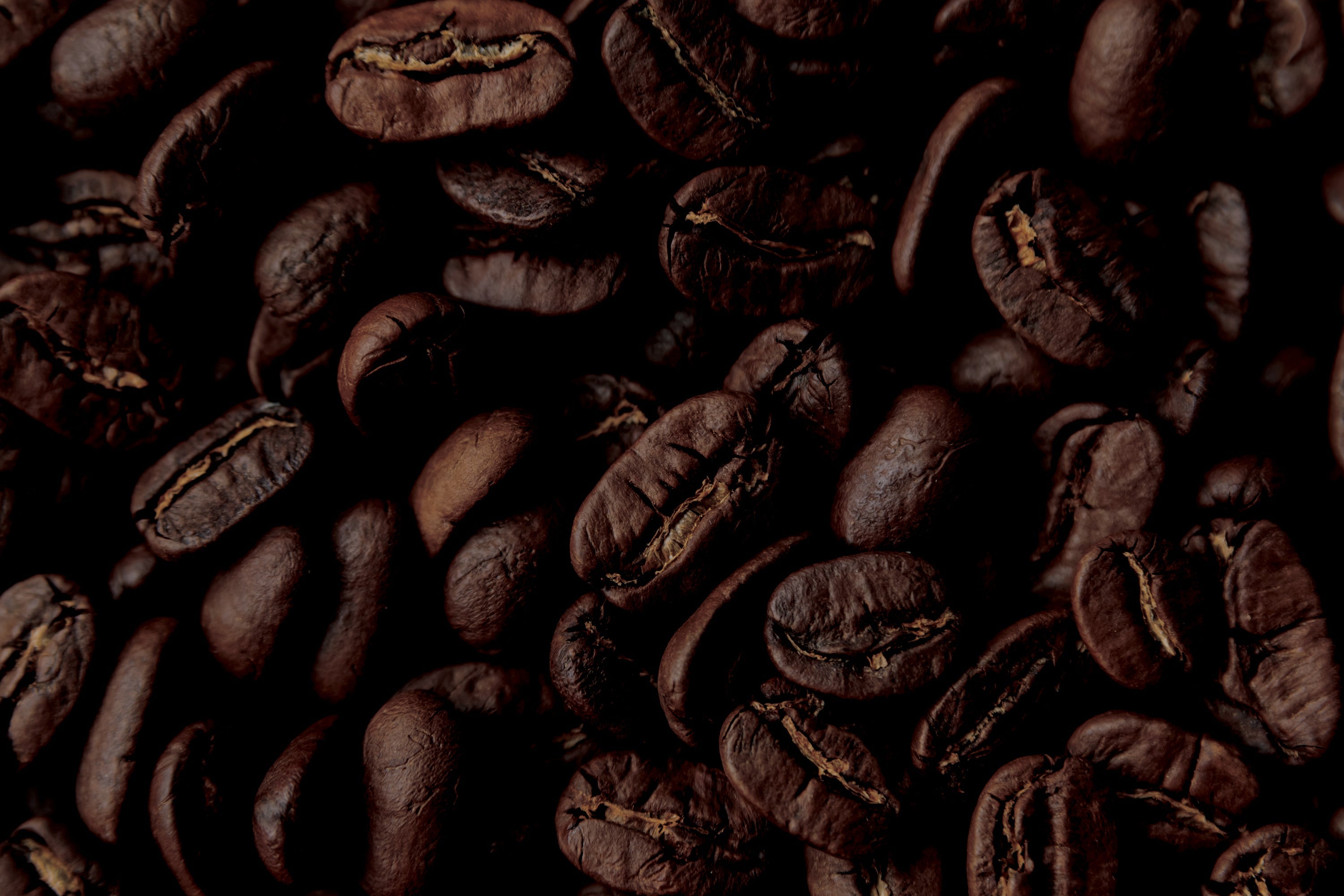 DARK ROASTED COFFEE